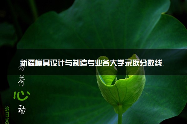 新疆模具设计与制造专业各大学录取分数线：最低217分能上 开设院校及位次