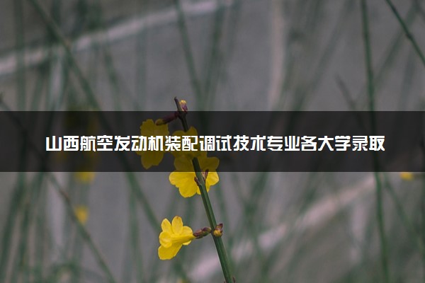 山西航空发动机装配调试技术专业各大学录取分数线：最低350分能上 开设院校及位次