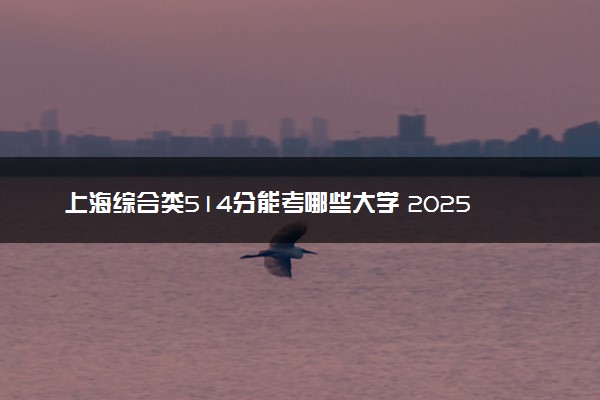 上海综合类514分能考哪些大学 2025考生稳上的大学名单