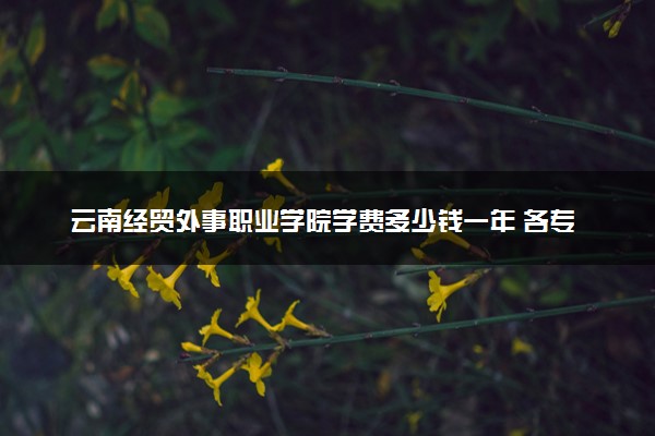 云南经贸外事职业学院学费多少钱一年 各专业收费标准（2025年参考）