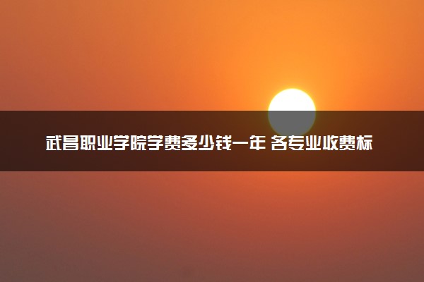 武昌职业学院学费多少钱一年 各专业收费标准（2025年参考）