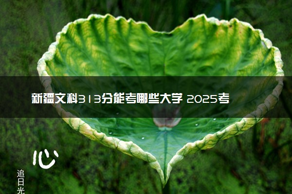 新疆文科313分能考哪些大学 2025考生稳上的大学名单