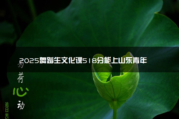 2025舞蹈生文化课518分能上山东青年政治学院吗