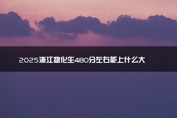 2025浙江物化生480分左右能上什么大学 可以报考的院校名单
