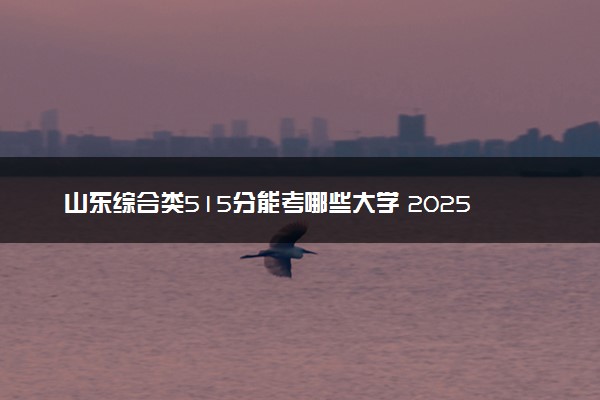 山东综合类515分能考哪些大学 2025考生稳上的大学名单