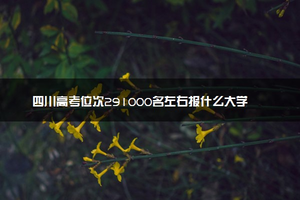 四川高考位次291000名左右报什么大学好（2025年参考）