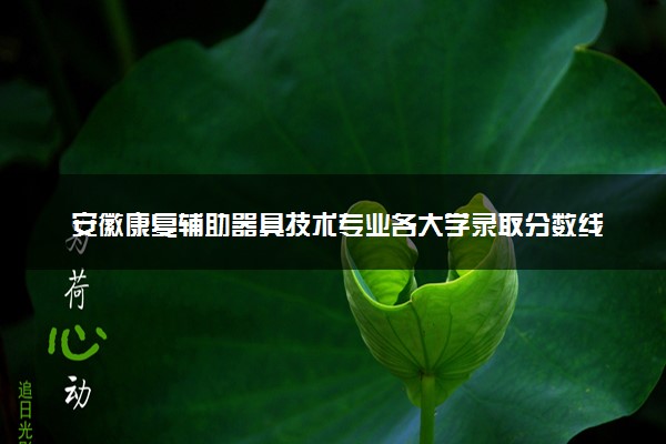安徽康复辅助器具技术专业各大学录取分数线：最低403分能上 开设院校及位次