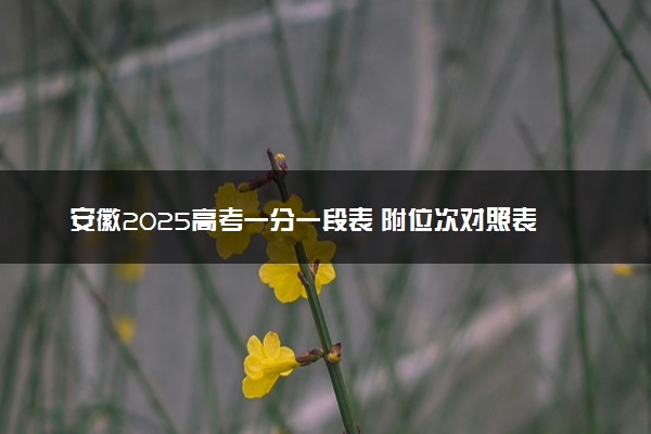 安徽2025高考一分一段表 附位次对照表查询官网