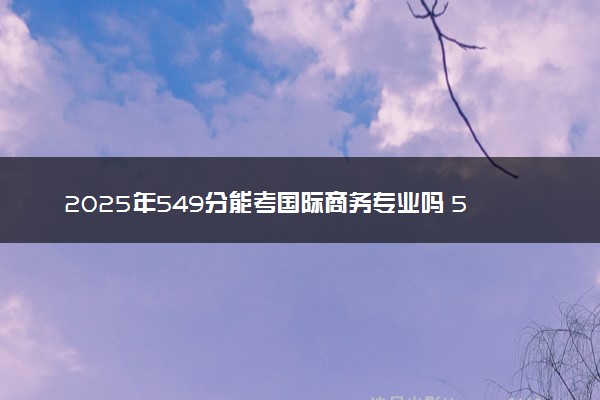 2025年549分能考国际商务专业吗 549分国际商务专业大学推荐