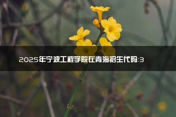 2025年宁波工程学院在青海招生代码：3257 专业代码及报考指南
