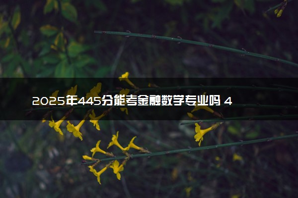 2025年445分能考金融数学专业吗 445分金融数学专业大学推荐