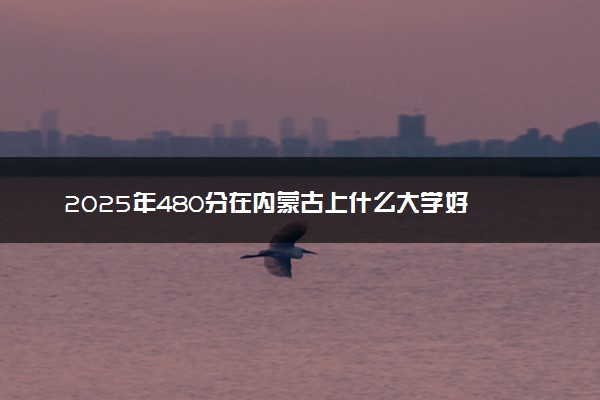 2025年480分在内蒙古上什么大学好 近三年录取分数线是多少