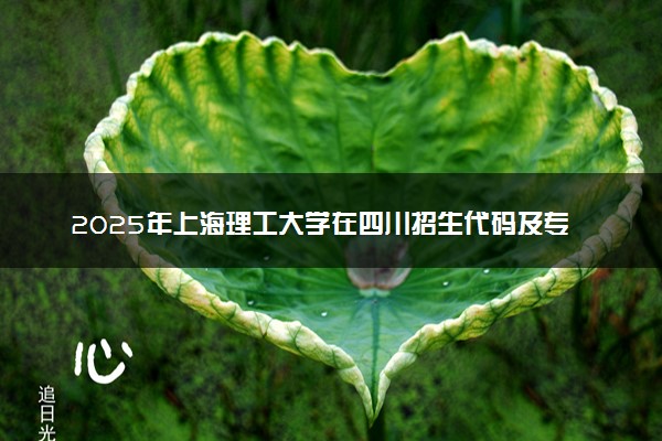2025年上海理工大学在四川招生代码及专业代码 上海理工大学四川代码是多少？怎么查询？