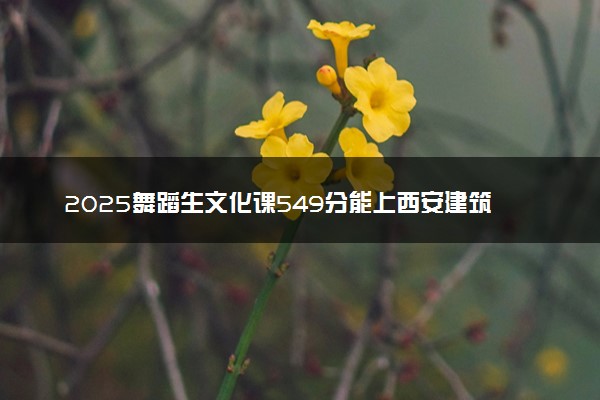 2025舞蹈生文化课549分能上西安建筑科技大学吗