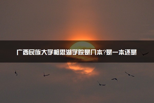 广西民族大学相思湖学院是几本？是一本还是二本大学