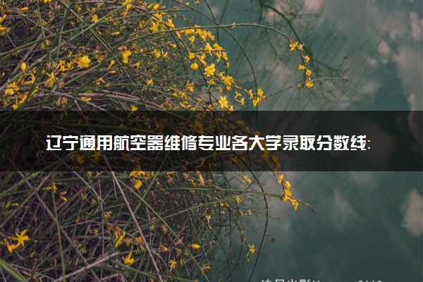 辽宁通用航空器维修专业各大学录取分数线：最低251分能上 开设院校及位次