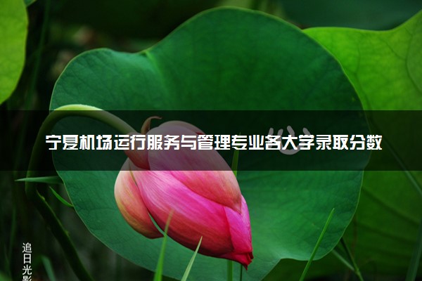 宁夏机场运行服务与管理专业各大学录取分数线：最低265分能上 开设院校及位次