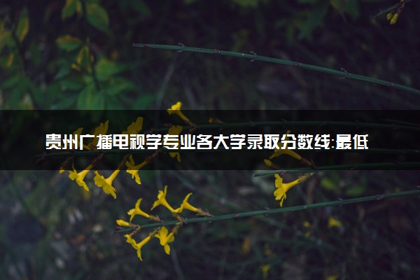 贵州广播电视学专业各大学录取分数线：最低384分能上 开设院校及位次