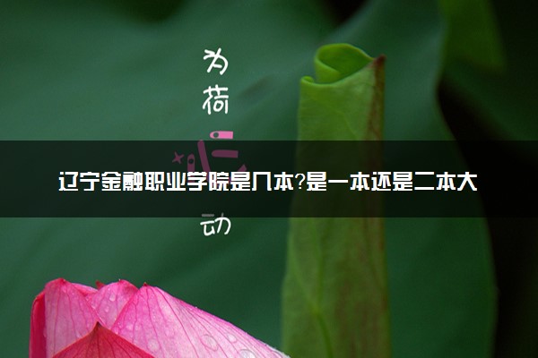 辽宁金融职业学院是几本？是一本还是二本大学