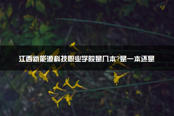 江西新能源科技职业学院是几本？是一本还是二本大学