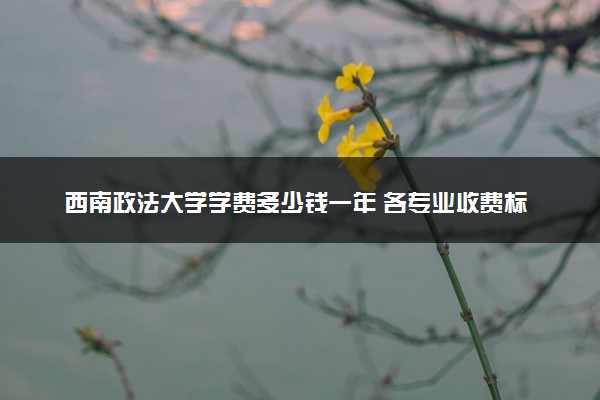 西南政法大学学费多少钱一年 各专业收费标准（2025年参考）