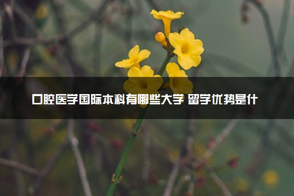 口腔医学国际本科有哪些大学 留学优势是什么
