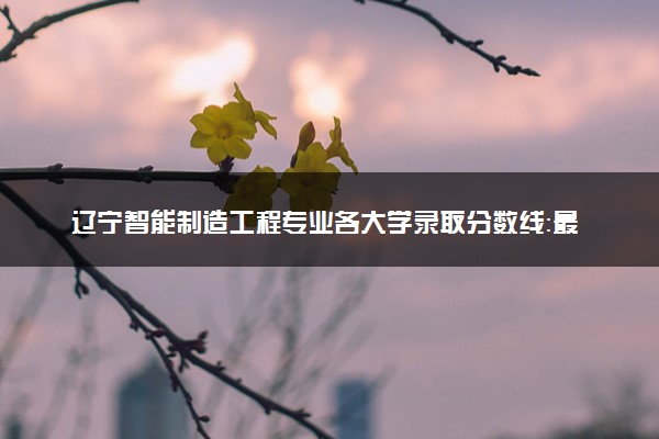 辽宁智能制造工程专业各大学录取分数线：最低377分能上 开设院校及位次