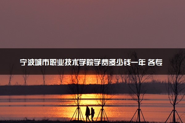 宁波城市职业技术学院学费多少钱一年 各专业收费标准（2025年参考）