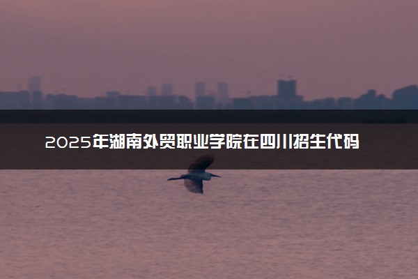 2025年湖南外贸职业学院在四川招生代码及专业代码 湖南外贸职业学院四川代码是多少？怎么查询？