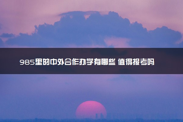 985里的中外合作办学有哪些 值得报考吗