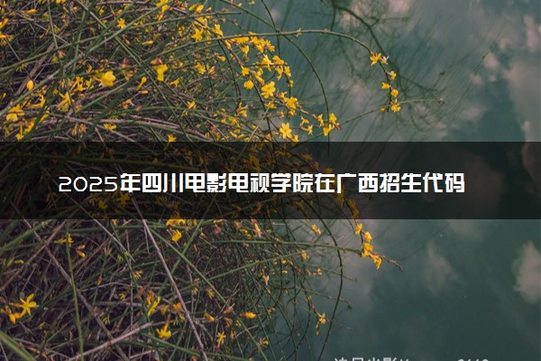 2025年四川电影电视学院在广西招生代码及专业代码 四川电影电视学院广西代码是多少？怎么查询？