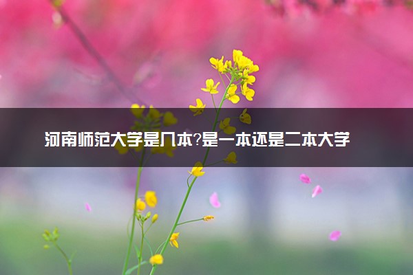 河南师范大学是几本？是一本还是二本大学