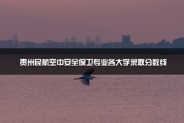 贵州民航空中安全保卫专业各大学录取分数线：最低322分能上 开设院校及位次