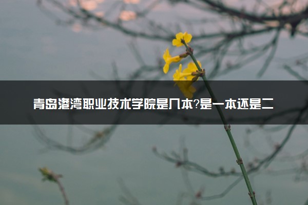 青岛港湾职业技术学院是几本？是一本还是二本大学