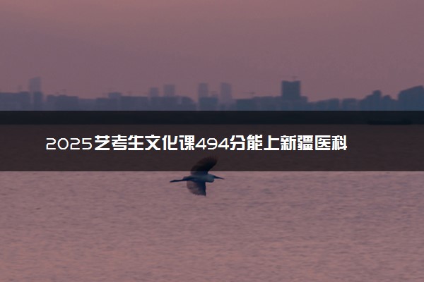 2025艺考生文化课494分能上新疆医科大学吗