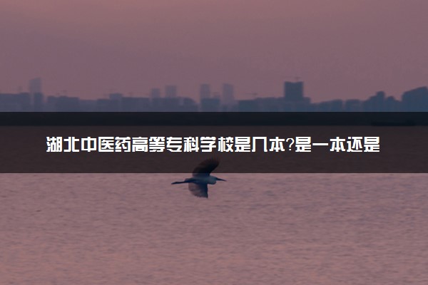 湖北中医药高等专科学校是几本？是一本还是二本大学