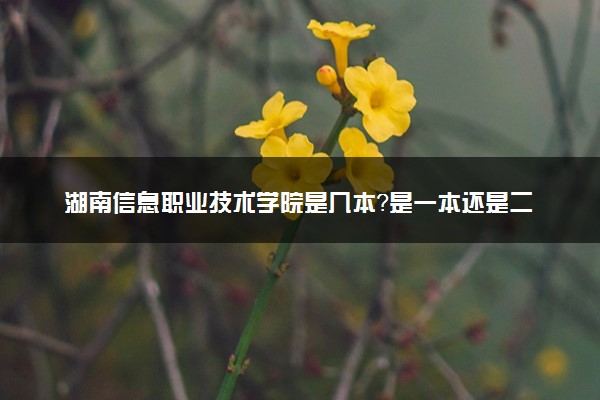 湖南信息职业技术学院是几本？是一本还是二本大学