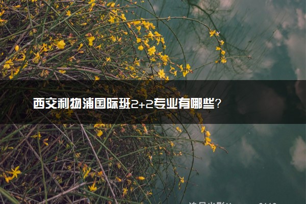 西交利物浦国际班2+2专业有哪些？