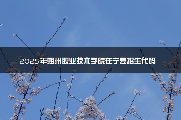 2025年朔州职业技术学院在宁夏招生代码及专业代码 朔州职业技术学院宁夏代码是多少？怎么查询？