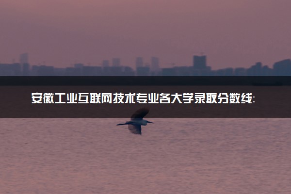 安徽工业互联网技术专业各大学录取分数线：最低338分能上 开设院校及位次