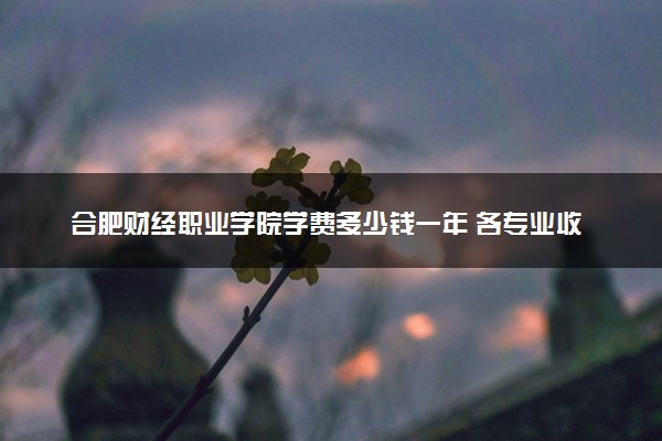 合肥财经职业学院学费多少钱一年 各专业收费标准（2025年参考）