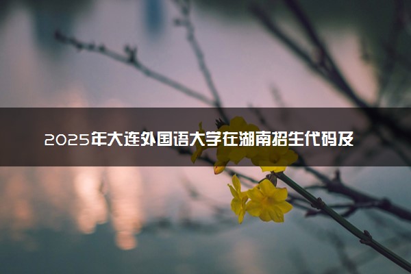 2025年大连外国语大学在湖南招生代码及专业代码 大连外国语大学湖南代码是多少？怎么查询？