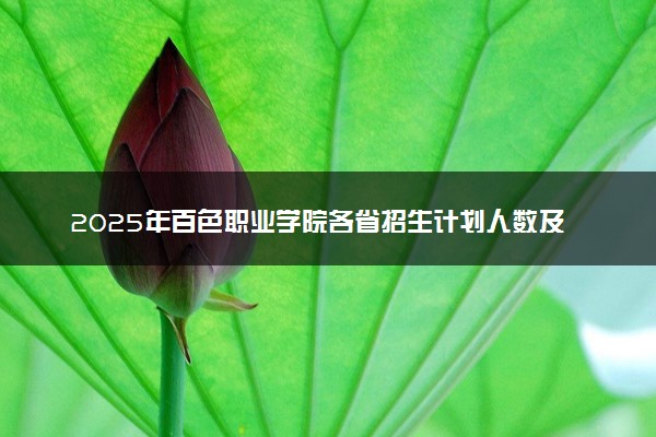 2025年百色职业学院各省招生计划人数及专业代码学费