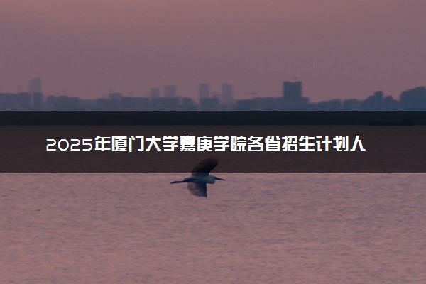 2025年厦门大学嘉庚学院各省招生计划人数及专业代码学费