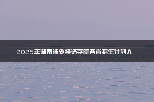 2025年湖南涉外经济学院各省招生计划人数及专业代码学费