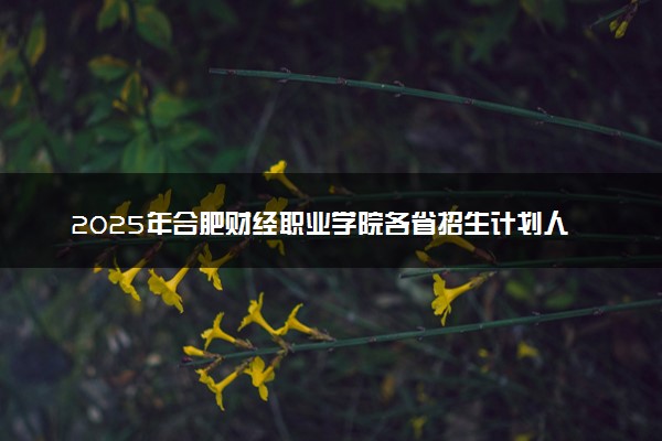 2025年合肥财经职业学院各省招生计划人数及专业代码学费