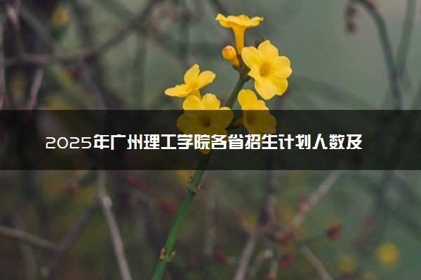 2025年广州理工学院各省招生计划人数及专业代码学费