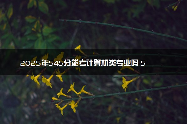 2025年545分能考计算机类专业吗 545分计算机类专业大学推荐