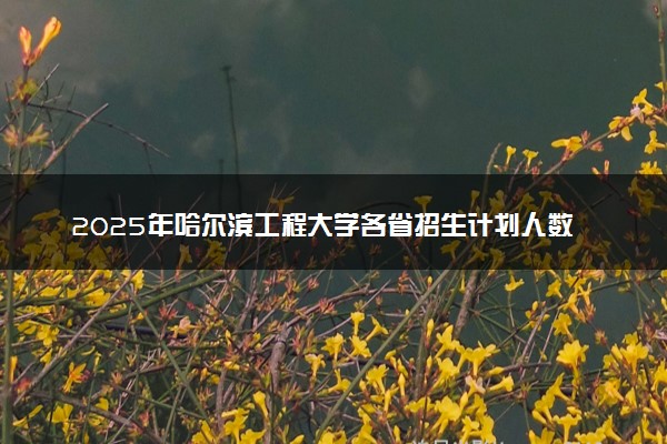 2025年哈尔滨工程大学各省招生计划人数及专业代码学费