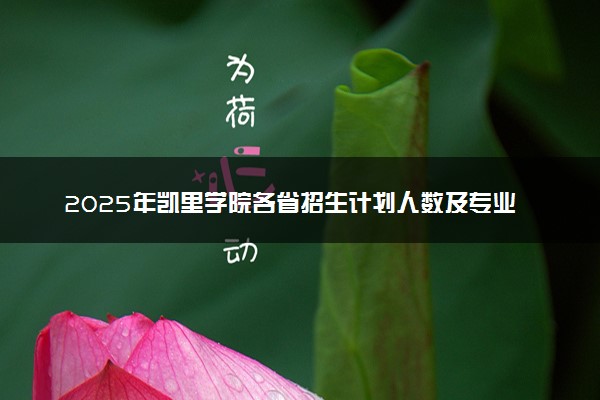 2025年凯里学院各省招生计划人数及专业代码学费